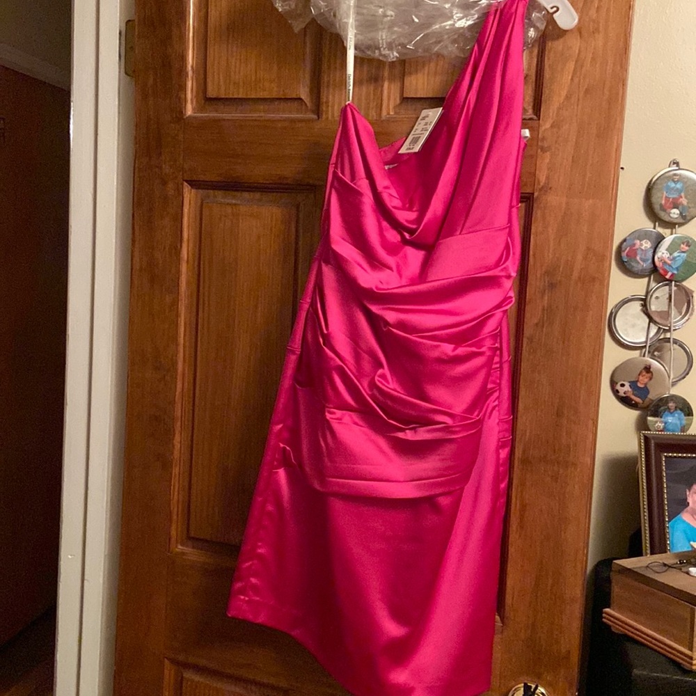 David’s Bridal stretch satin dress. Size 12, color is begonia. Zips in back.
